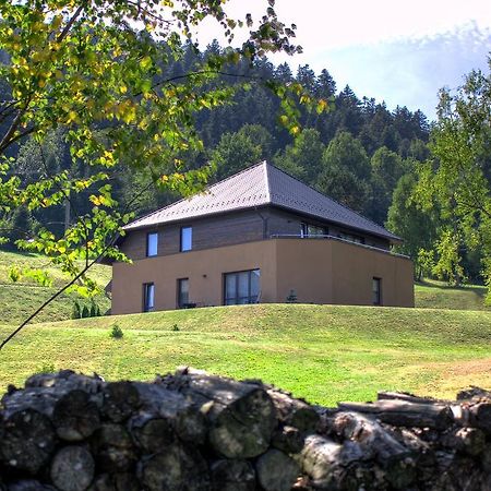 Puenta Aparthotel クリニツァ・ズドルイ エクステリア 写真